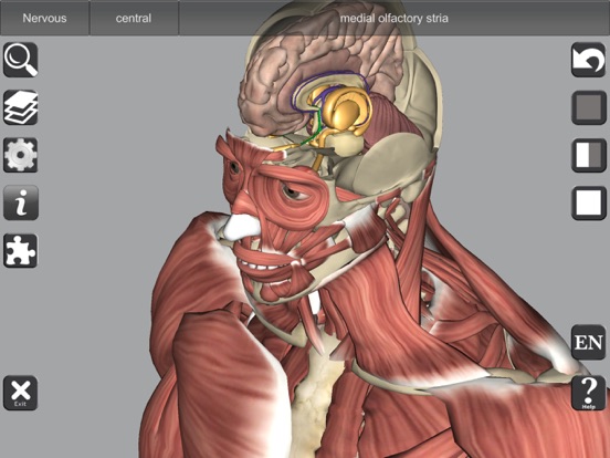 3D Anatomy Learning screenshot