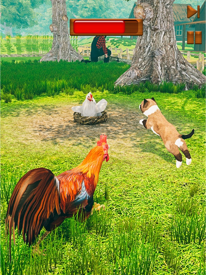 Farm Chicken - Roaster Racing