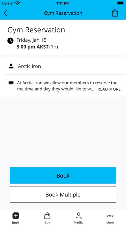 Arctic Iron