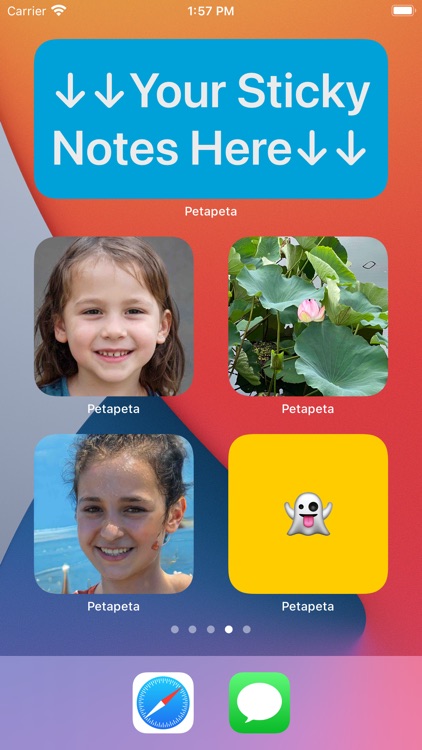 Photo Widget - Petapeta