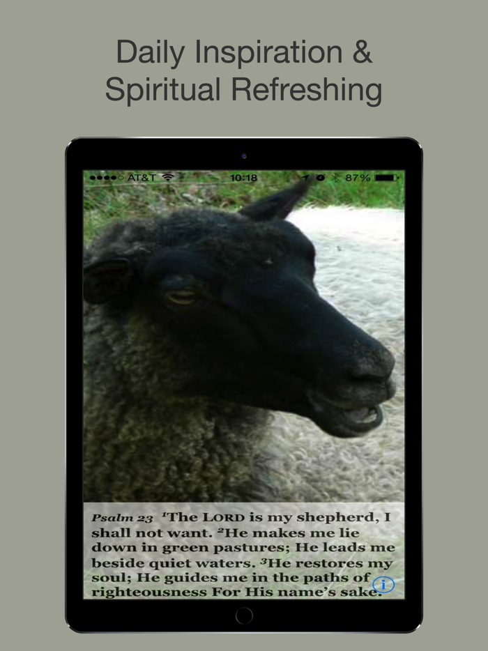 Psalm Daily Quotes NASB