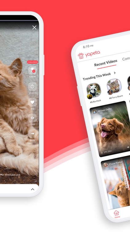 Yapeta - Social App For Pets