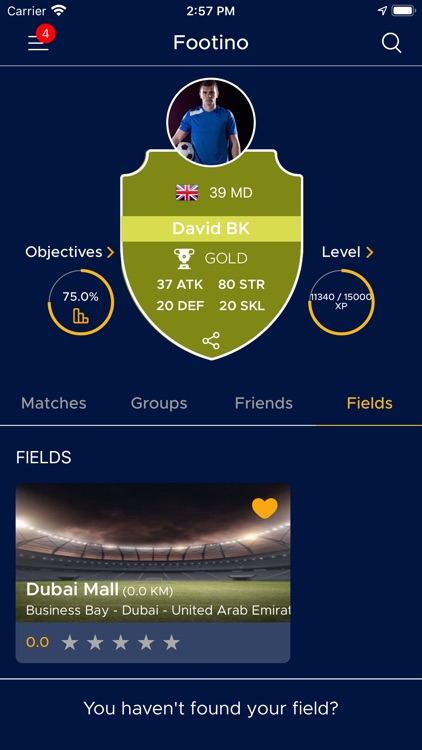 Footino screenshot-3