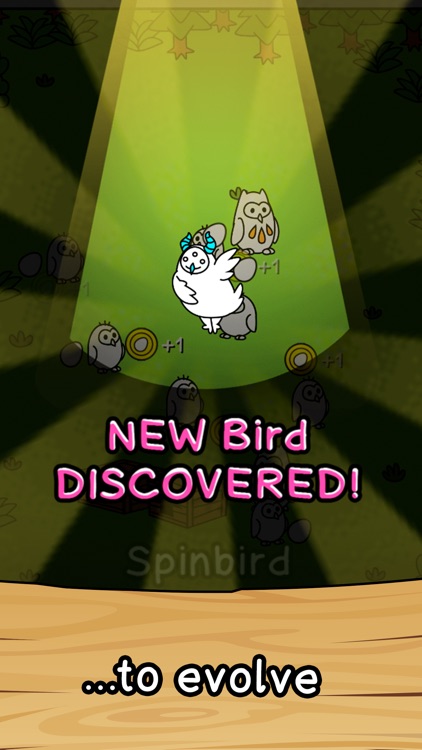 Birds Evolution Merge