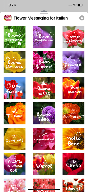 Flower Messaging for Italian(圖3)-速報App