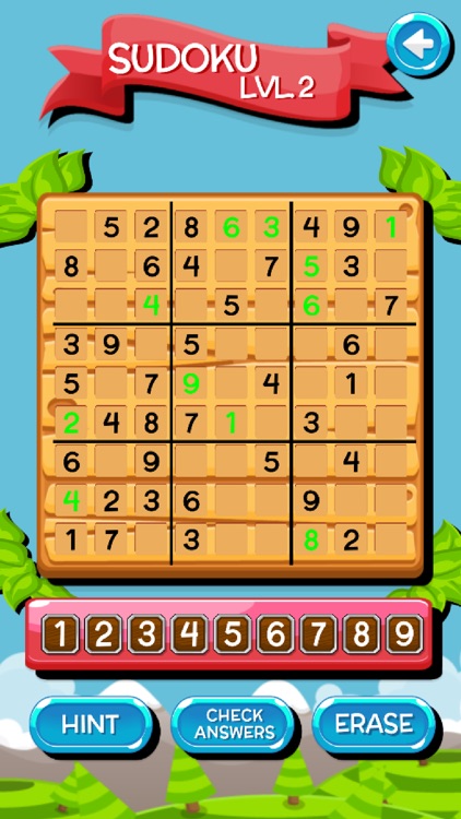 Sudoku Fun Puzzles