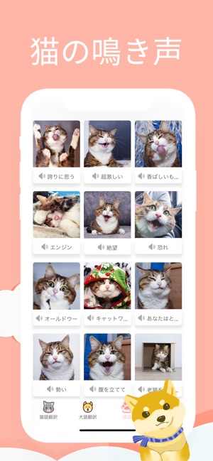 Meowoof 猫語犬語翻訳アプリ をapp Storeで