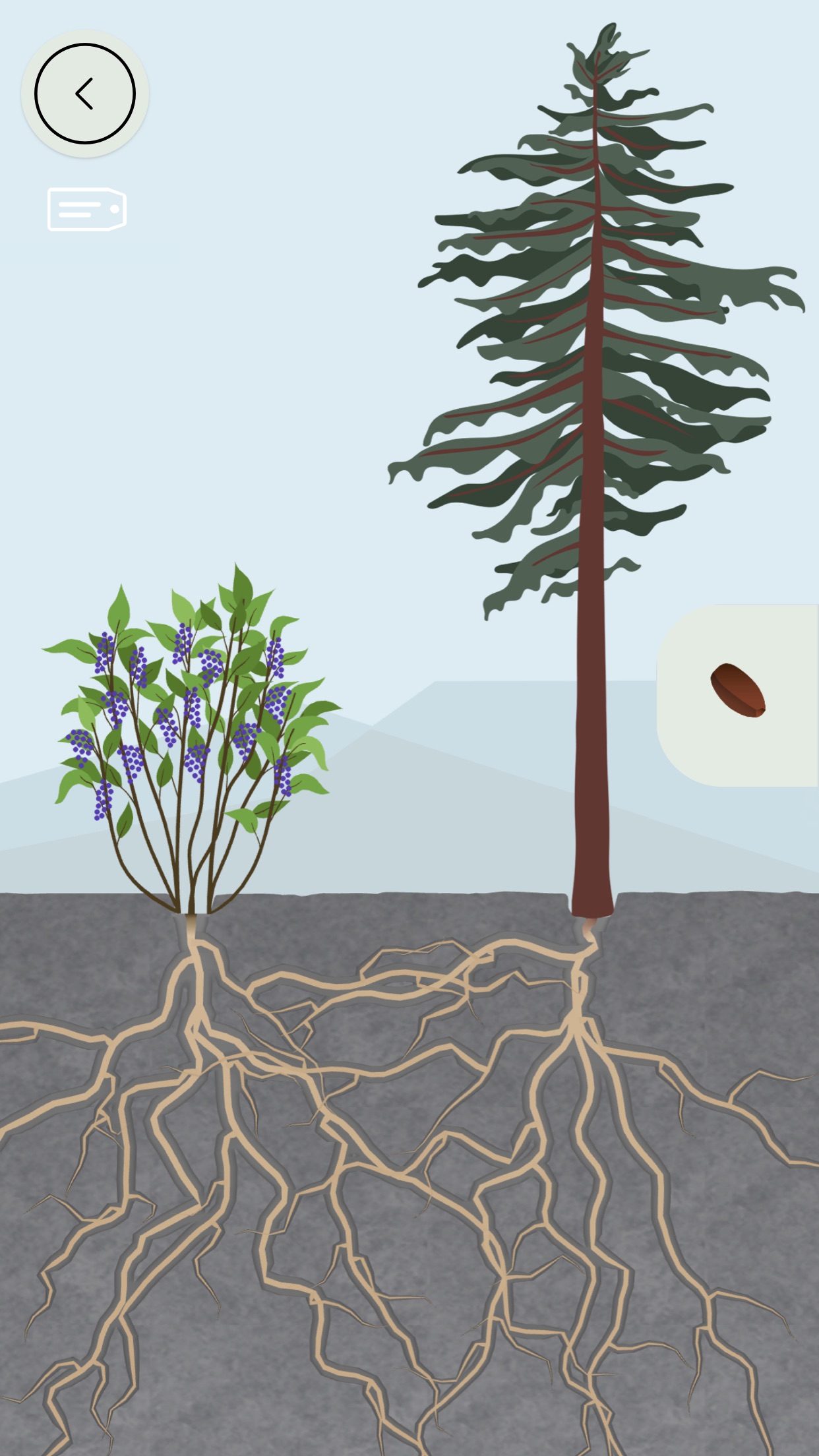 Screenshot do app A Terra por Tinybop