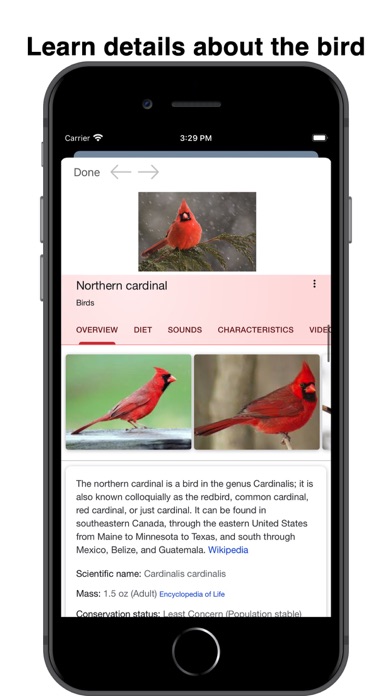 Bird ID: Use AI to id birds Screenshots