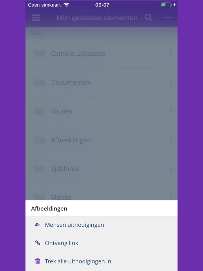 Drive van Mijndomein