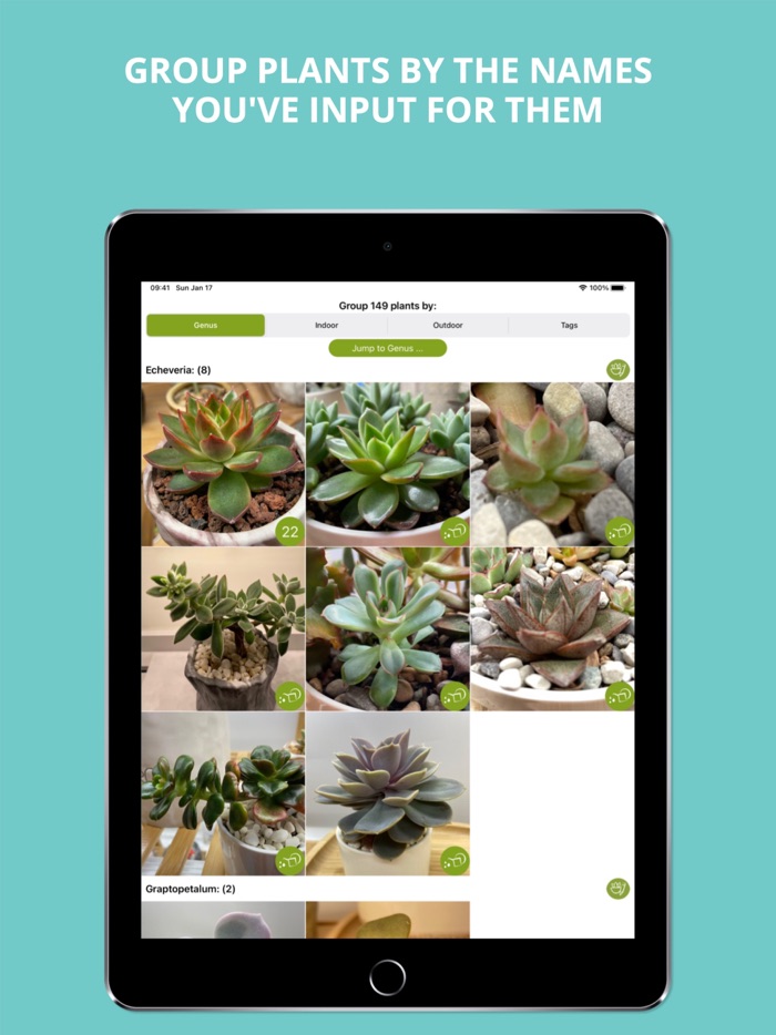 Succulent Tracker