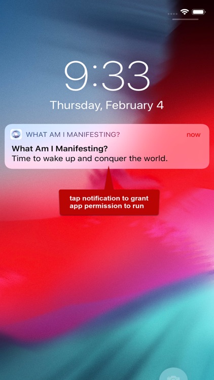 What Am I Manifesting?