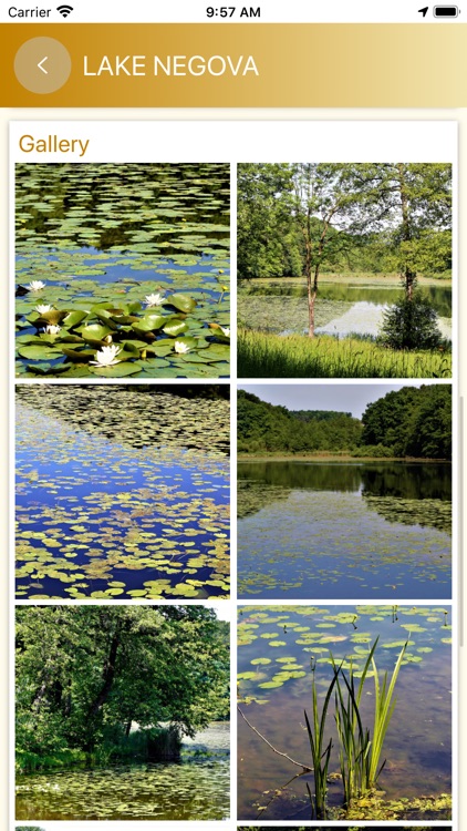 VIA Prlekija screenshot-3