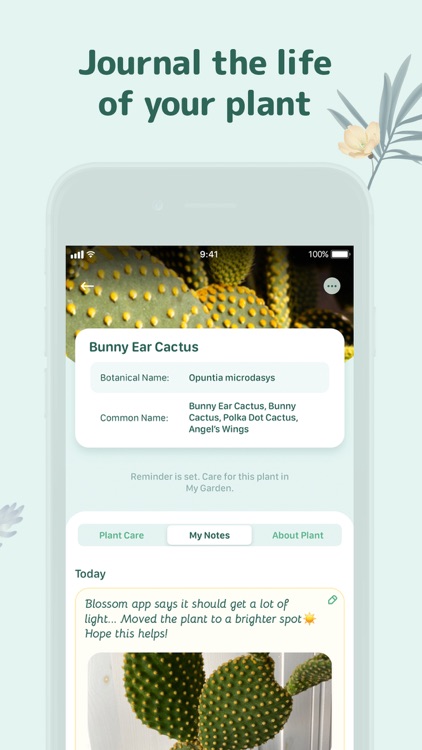 Blossom - Plant Identification screenshot-5