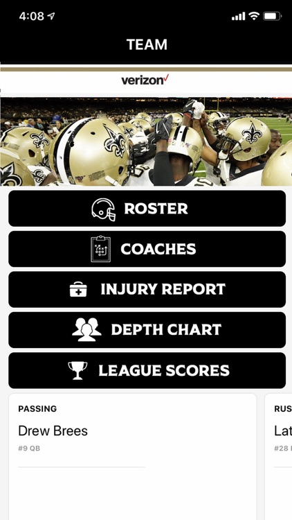 New Orleans Saints screenshot-3
