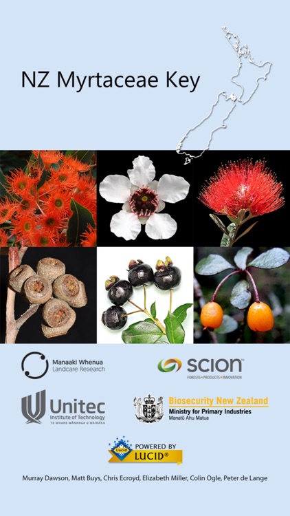 NZ Myrtaceae Key
