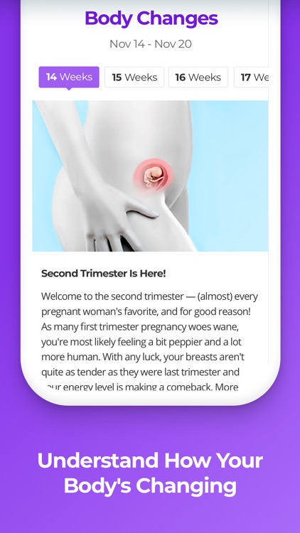 Pregnancy & Baby Tracker WTE