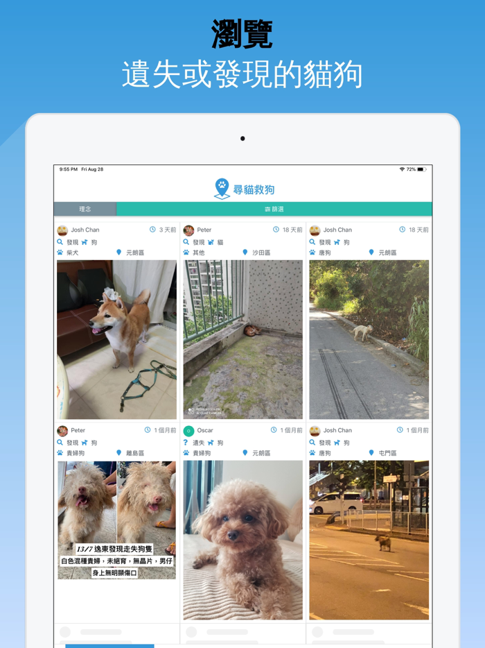 尋貓救狗 Find Cat Save Dog