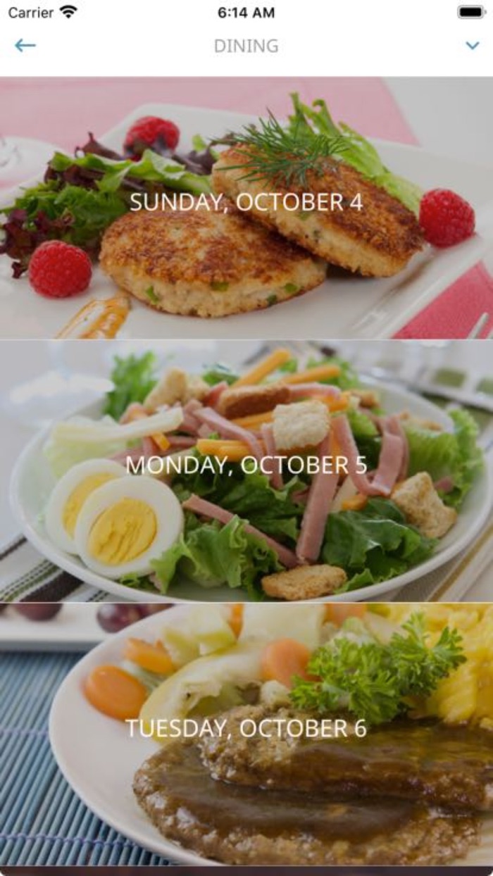 Grand Villa of Sarasota