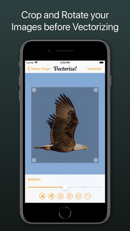 Vectorize! screenshot-3