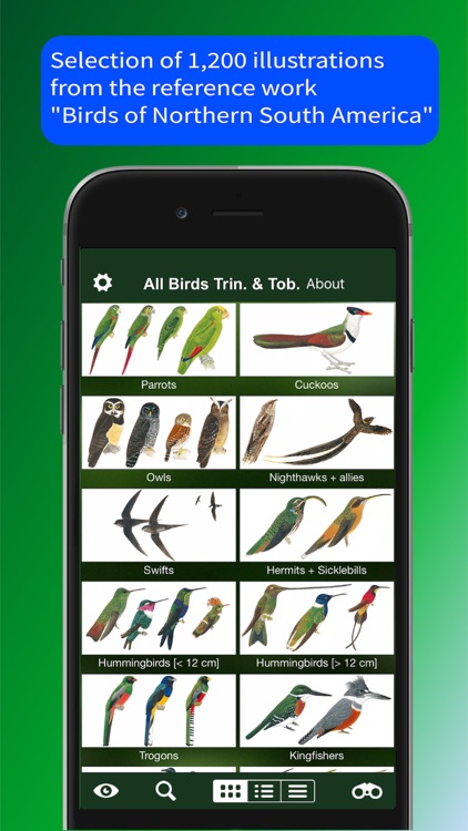 All Birds Trinidad and Tobago screenshot-5