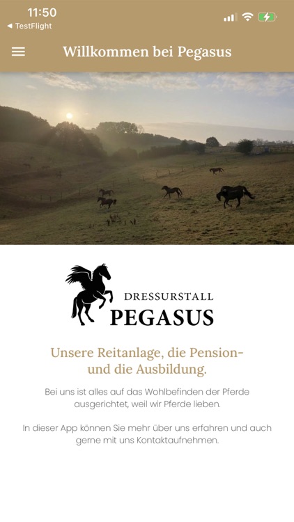 Pegasus