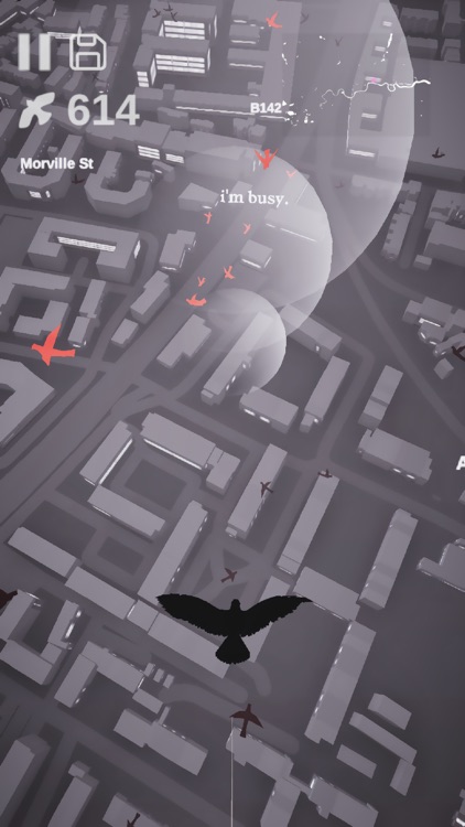 Pigeon: A Love Story