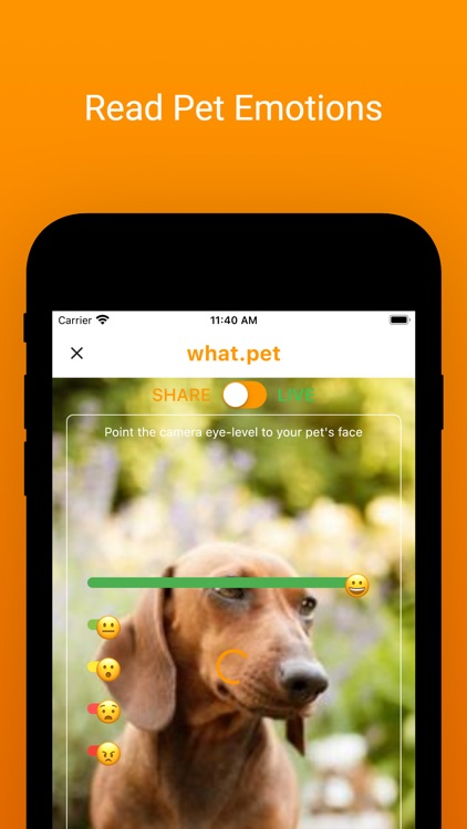 What.pet - Cats & Dogs AI App screenshot-3