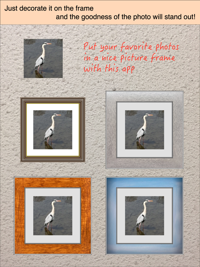 in the picture frame