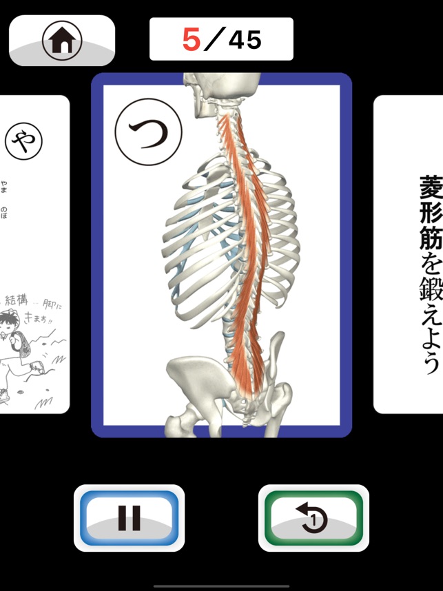 筋肉かるた をapp Storeで