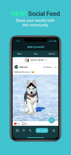 how to find out your dog breed app