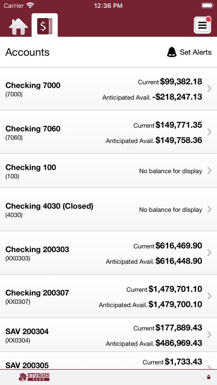 Sturgis Bank Business screenshot-3