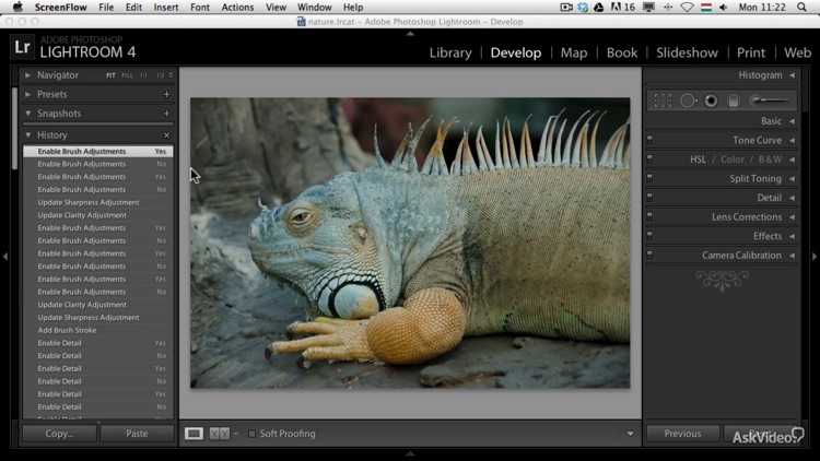 Nature and Landscapes Course screenshot-3