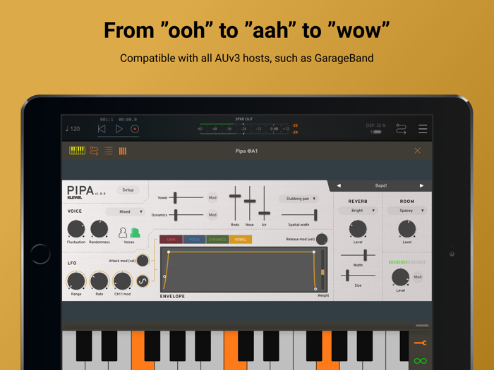 Pipa Vocal Synthesizer