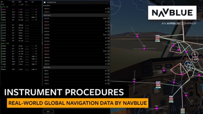 Screenshot from Infinite Flight Simulator
