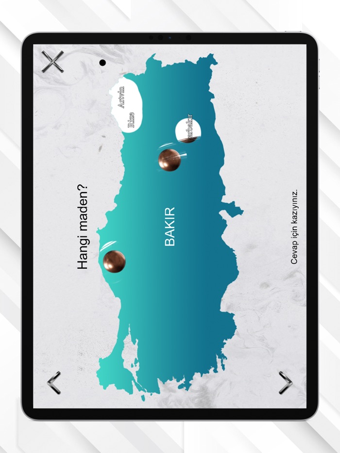 AYT Coğrafya Platin