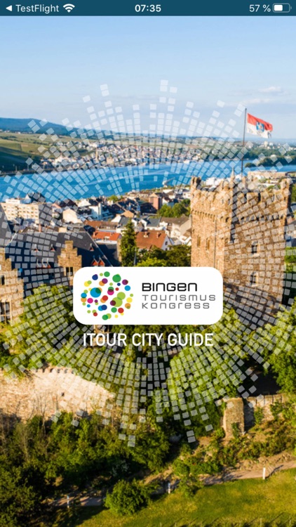 Bingen am Rhein City Guide