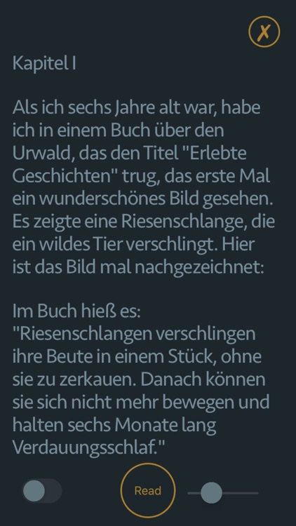 Der kleine Prinz Hörbuch screenshot-7