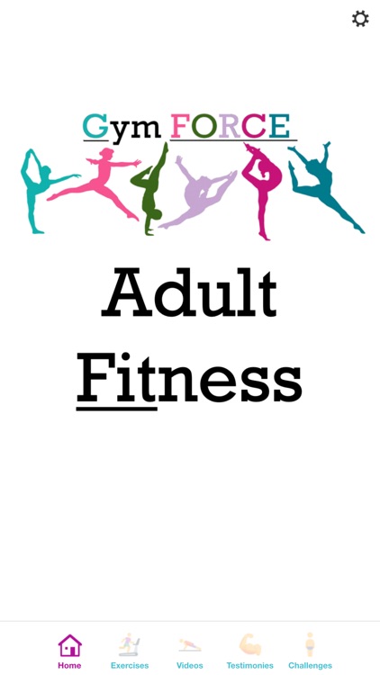 GymForce Adult Fitness