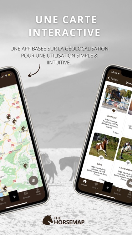 The HorseMap screenshot-3