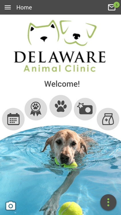 Delaware Animal Clinic by Dawn M. Karnicki M.D. D.V.M. Pllc