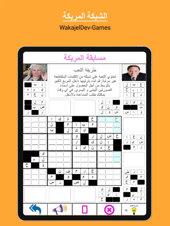 الشبكة المربكة