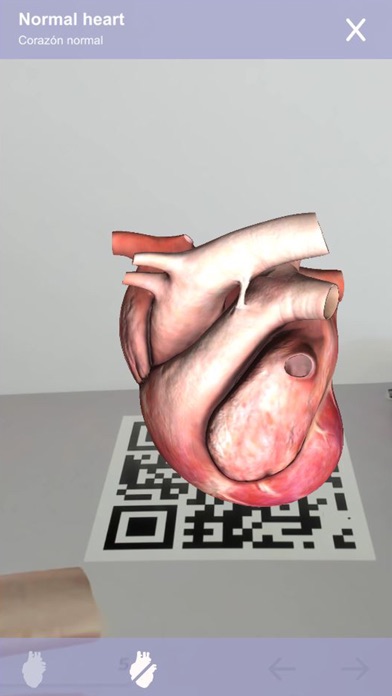 How to cancel & delete Cardiology 3D Small Animals from iphone & ipad 2