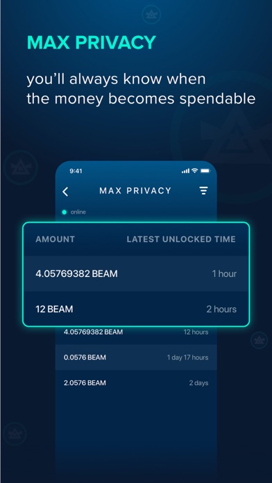 How to cancel & delete Beam Privacy Wallet from iphone & ipad 2