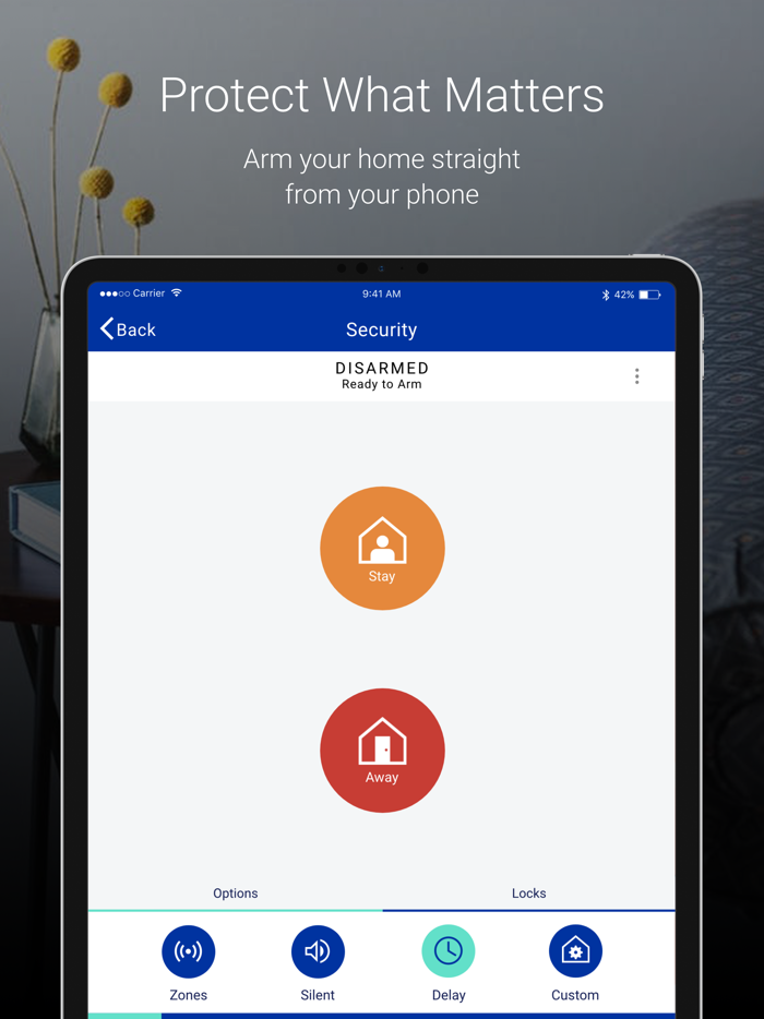 Brinks Home  Protect America