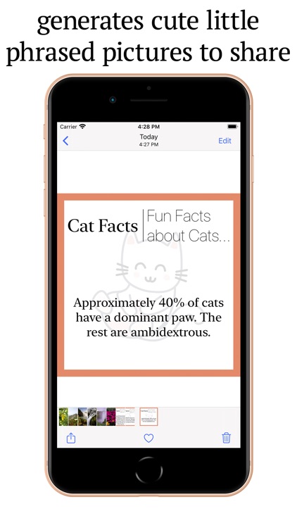 Cat Facts Fun Facts About Cats By Breakphones