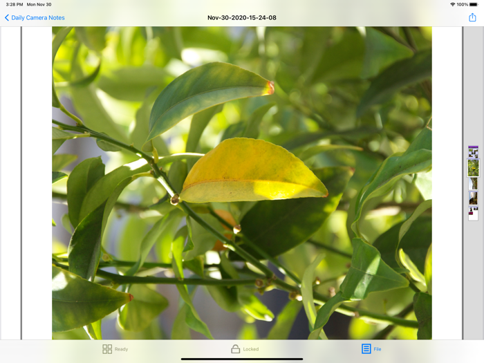 Daily Camera Notes Pro