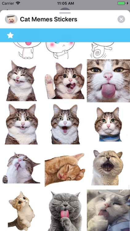 Cat Memes Stickers screenshot-5