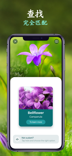 NatureID - 拍照識別植物、貓、狗(圖8)-速報App