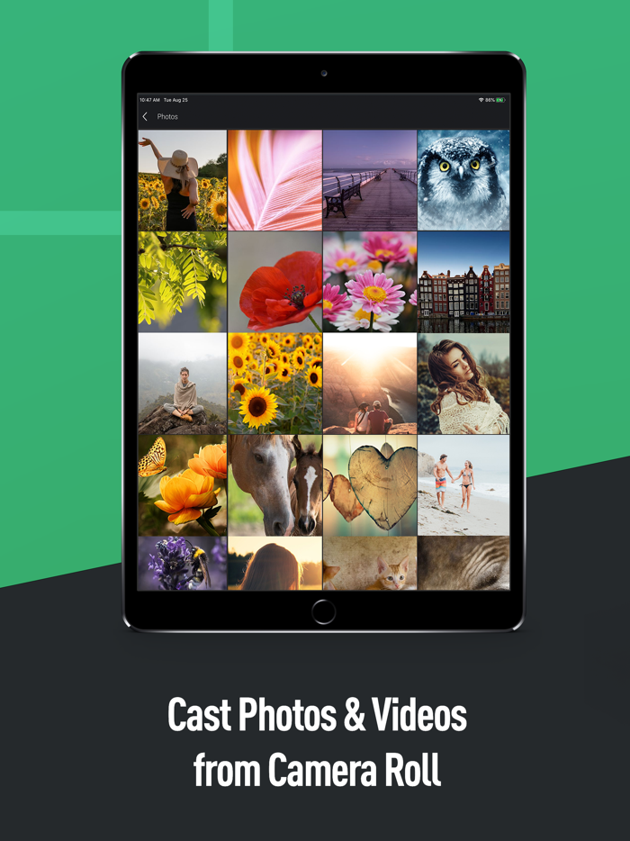 Screen Mirroring X Smart View